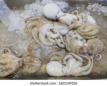 Frozen Octopus For Sale At Seafood Market On Ice