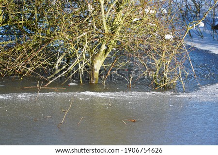 Similar – Image, Stock Photo Submerged Water Lake