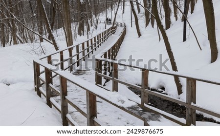 A frozen path winds through a snowy forest, leading to a building in the distance surrounded by a wooden fence during a freezing winter blizzard