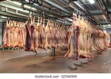 A lot of frozen pig carcasses hanging in the hook cold store.