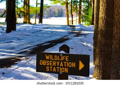 Frozen Pond At Promised Land State Park