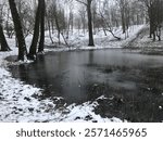 Frozen pond, trees reflected in water. Snow and ice in a Park in the city Gniezno, Poland. 