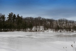 A Frozen Pond Within Beebe Hill State Forest Park In Austerlitz New York On Cold Winter Day. 