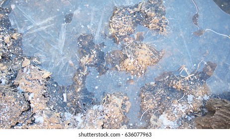 Frozen puddle.