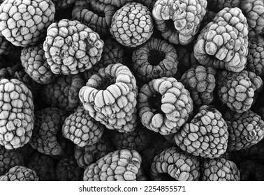 Frozen raspberries covered with hoarfrost, top view. Black and white image. - Shutterstock ID 2254855571