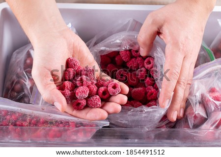 Frozen raspberry in hand, closeup. Frozen berries and fruits in a plastic bag in freezer