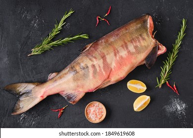 Frozen raw headless chum fish on dark background - Shutterstock ID 1849619608