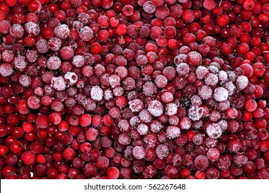 Frozen Red  Berries Background