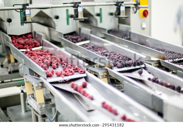 frozen\
red raspberries in sorting and processing\
machines