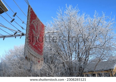 Frozen red and white rug at a washing line. Hoarfrost a winter day. Sweden, December.