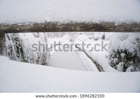 Similar – Image, Stock Photo Cuddly Horizon Sun Sunrise