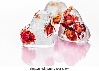 Frozen rose in ice cube