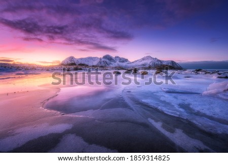 Frozen sea coast at colorful sunset in Lofoten islands, Norway. Snowy mountains, sea with frosty shore, ice, reflection in water, purple sky . Winter landscape with snow covered rocks, fjord at night