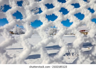 frozen snowflakes on a snow-covered wire fence