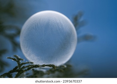 frozen soap bubble at a cold wintry morning 
