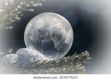 frozen soap bubble at a cold wintry morning 