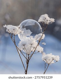 Frozen soap bubble with patterns
