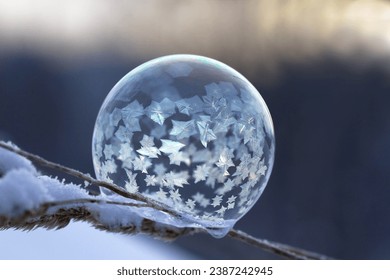 Frozen soap bubble with patterns on the stem of the plant - Powered by Shutterstock