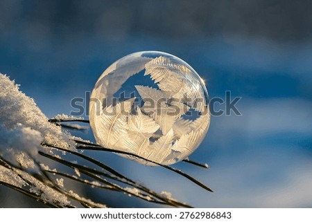 Frozen soap bubble with patterns on a pine branch