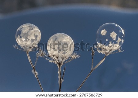 Frozen soap bubbles with patterns