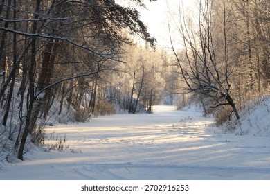 frozen stream bed surrounded by snow-covered trees and bushes