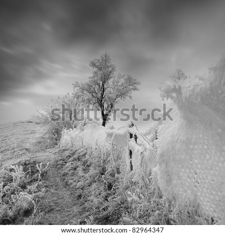 Similar – Image, Stock Photo Iceland Environment Nature