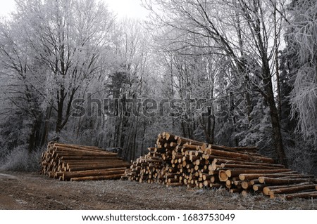 Holz vor der Hütte Umwelt