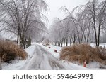 Frozen Trees