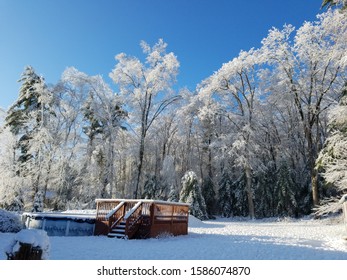 Frozen Trees, Above Ground Pool And Deck With Snow