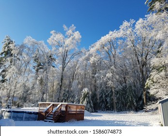 Frozen Trees, Above Ground Pool And Deck With Snow