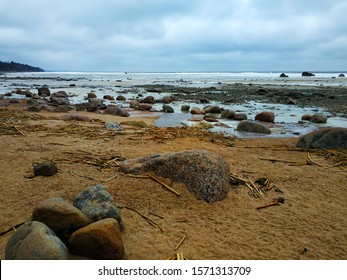 Frozen water, dry sticks, large stones on a sandy shore near the water, horizon