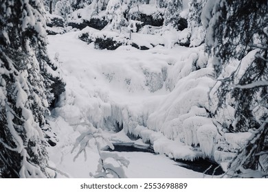 Frozen waterfall with snowy forest in the background Heggenes Norway - Powered by Shutterstock