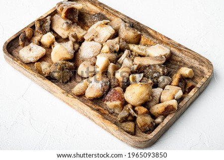 Similar – Image, Stock Photo a stone mushroom with his bright brown has stands on a clearing