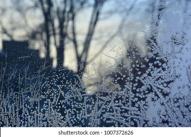 Frozen window with a frosty pattern. Evening landscape with trees seen through a glass. Winter background. Closeup.