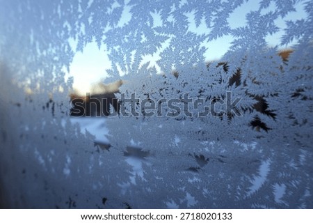 a frozen window pane during winter