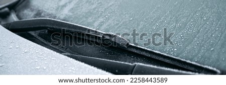 Similar – Image, Stock Photo frosty morning in March…