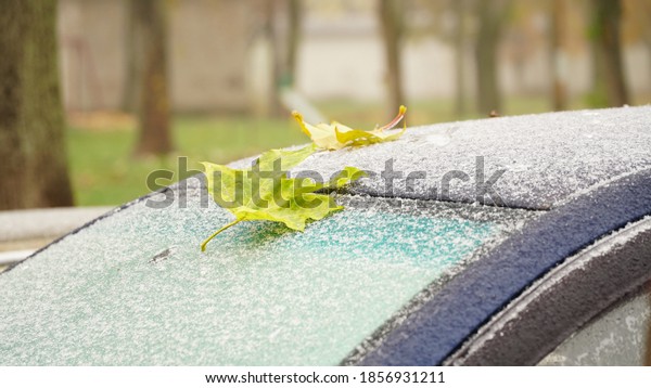 Frozen windshield wipers. The car is covered with ice,\
Icing.Change of weather. Autumn leaves are covered with ice and\
snow on the car windshield. Hydrometeorological Center. Bad weather\
conditions. 