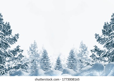 Frozen winter forest with snow covered trees. outdoor. Falling snowflakes - Shutterstock ID 1773008165