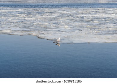 frozen winter ice floe