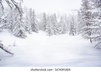 frozen winter landscape in the italia alps