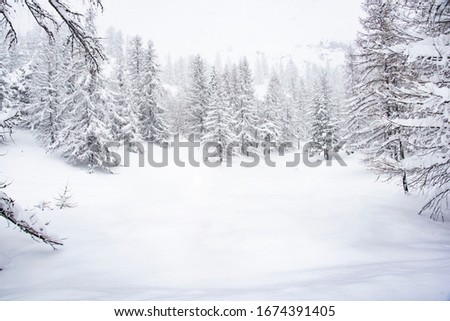 frozen winter landscape in the italia alps