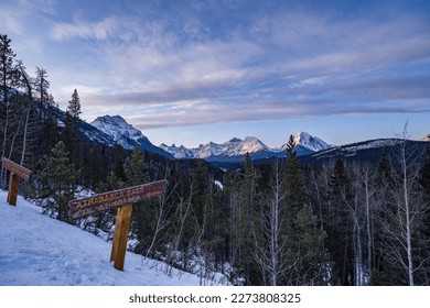 frozen wooden athabasca pass sign pointing on athabasca mountain ridge over spruce forrest during winter