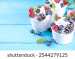 Frozen yogurt dessert with various berry toppings. Whipped creamy yoghurt ice cream with raspberry, strawberry, blueberry and mint