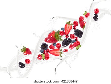 Fruit, Berry Mix In Milk Splash, Isolated On White Background