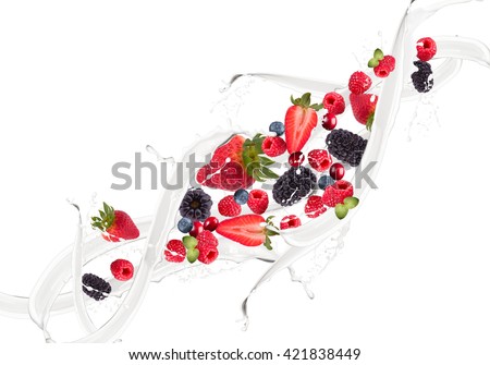 Fruit, berry mix in milk splash, isolated on white background