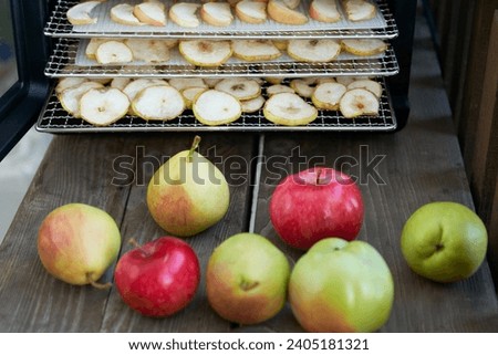Fruit canning by drying method. Food dehydrator with shelves with fruit slices. Ripe apples and pears in front of it.                               