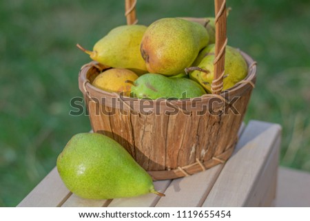 Similar – Image, Stock Photo orchard meadow, apple harvest