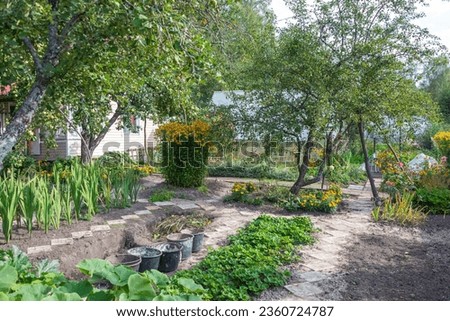 Fruit and flower garden and vegetable garden near the cottage. Garden, cottage, countryside.
