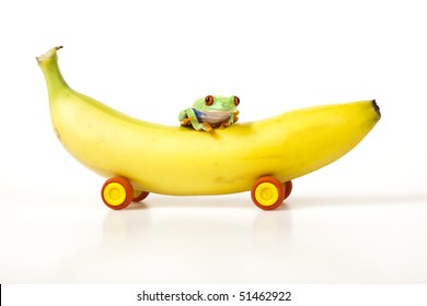Fruit Frog Stock Photo 51462922 | Shutterstock
