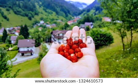 Fruit in hands